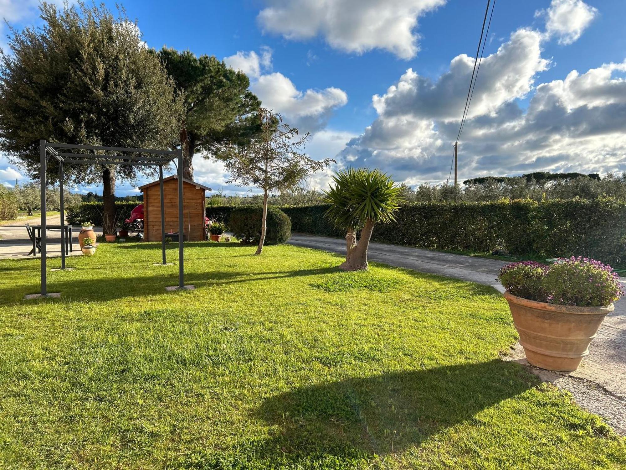 Agriturismo Da Michele E Carmela Di Voli Patrizia Donoratico Exterior photo
