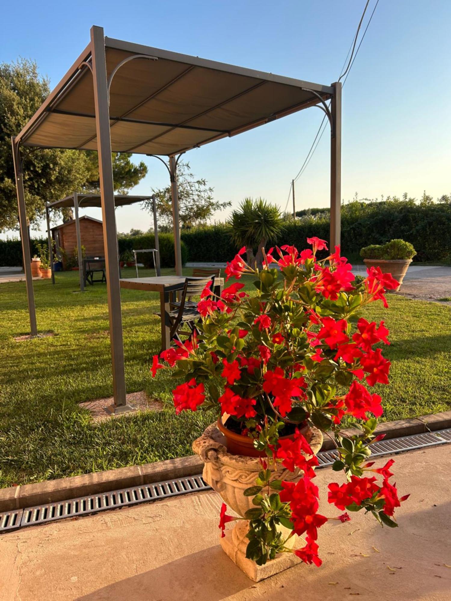 Agriturismo Da Michele E Carmela Di Voli Patrizia Donoratico Exterior photo